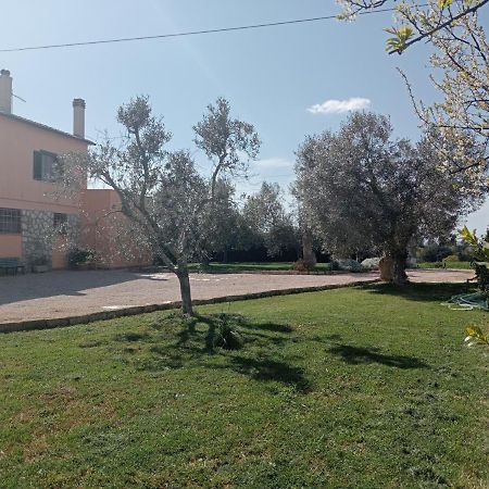 Villa In Campagna Tra Natura E Verde Montalto di Castro Esterno foto