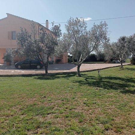 Villa In Campagna Tra Natura E Verde Montalto di Castro Esterno foto