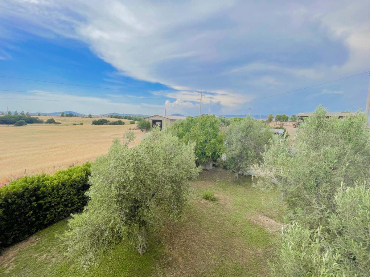 Villa In Campagna Tra Natura E Verde Montalto di Castro Esterno foto