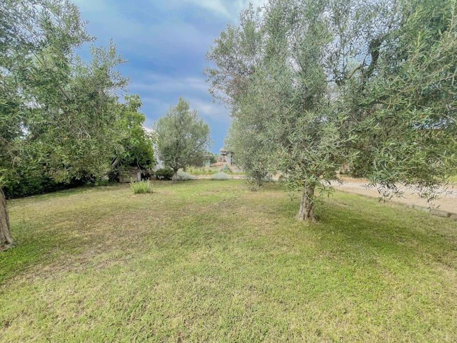Villa In Campagna Tra Natura E Verde Montalto di Castro Esterno foto