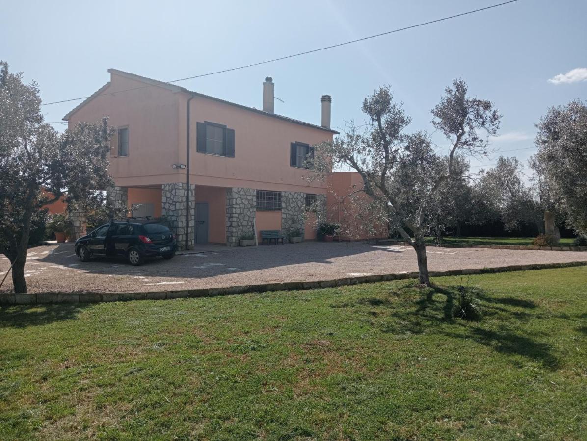 Villa In Campagna Tra Natura E Verde Montalto di Castro Esterno foto