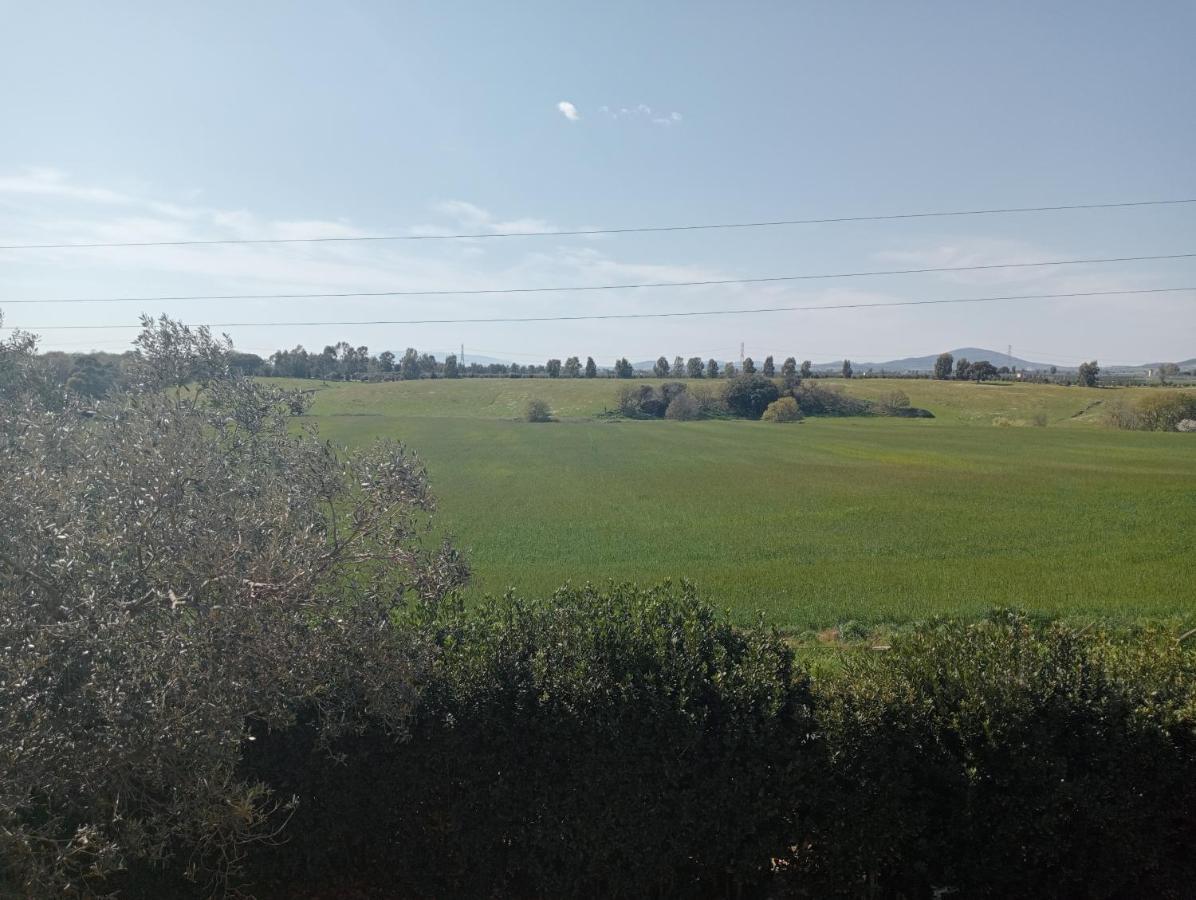 Villa In Campagna Tra Natura E Verde Montalto di Castro Esterno foto