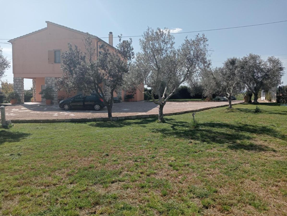 Villa In Campagna Tra Natura E Verde Montalto di Castro Esterno foto
